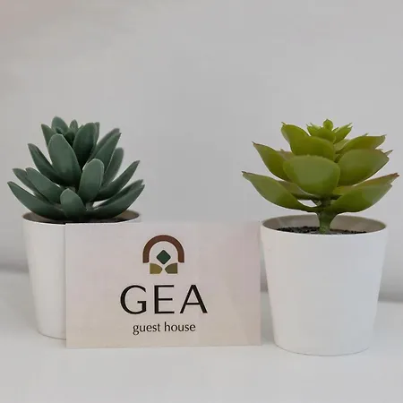 Gea Bed and breakfast 3*